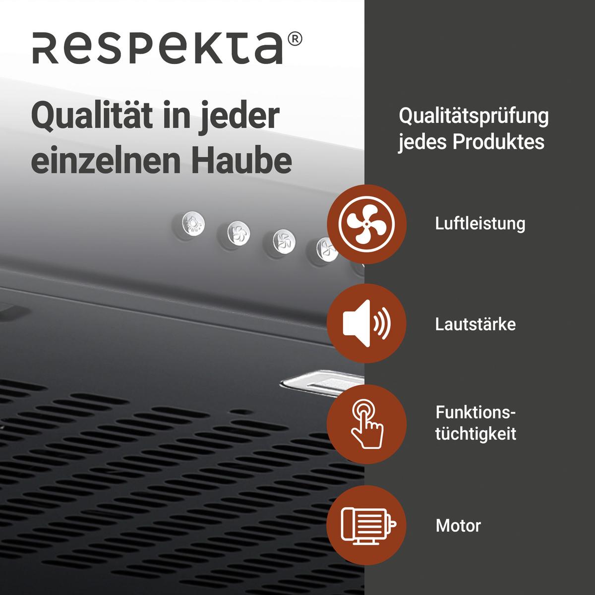 DUNSTABZUGSHAUBE Schwarz B: 60cm - Schwarz, Trend, Metall (60/8/46,5cm) - Respekta