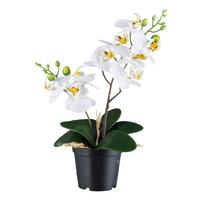 Kunstpflanze Orchideen Grün/schwarz/weiß, 28 Cm - Schwarz/Weiß, Design, Kunststoff (28cm) - P & B