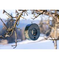 Vogelfutterring Circle BxHxT: 22x24x15,5 cm - Grün, Basics, Metall (22/24/15,5cm) - Windhager