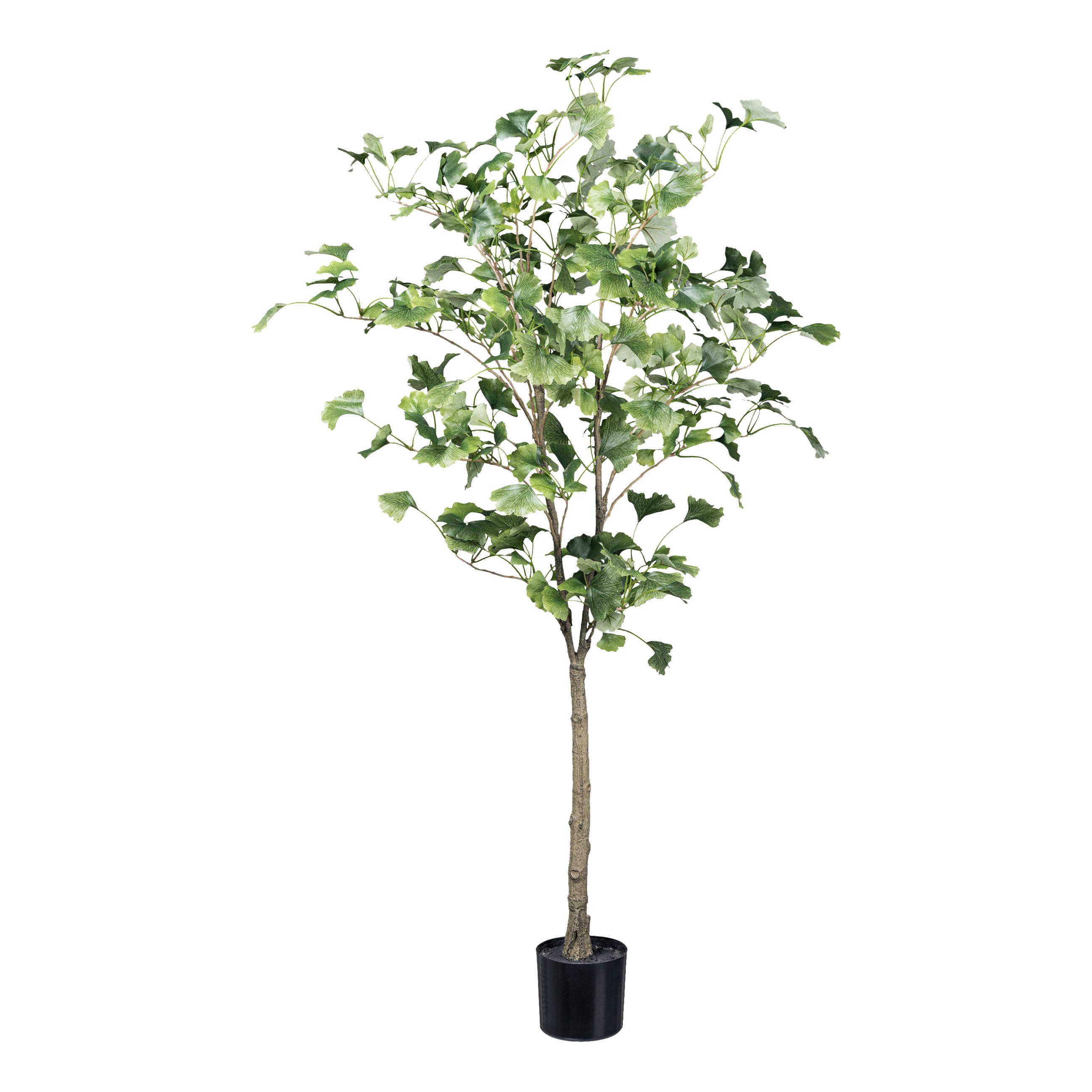 Kunstpflanze Ginkgo H: 120 cm - Schwarz/Braun, Design, Kunststoff (120cm)