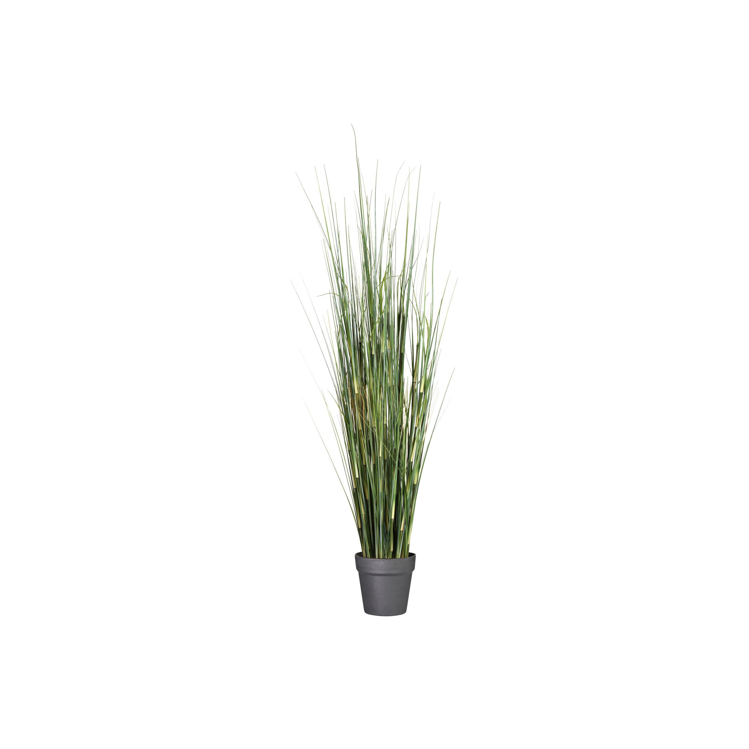 Kunstpflanze, Gräser Grün, H: 95 Cm - Schwarz/Grün, Design, Kunststoff (95cm) - P & B