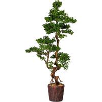Kunstpflanze Bonsai Braun/Grün, 155 cm - Braun/Grün, Design, Keramik/Kunststoff (155cm)