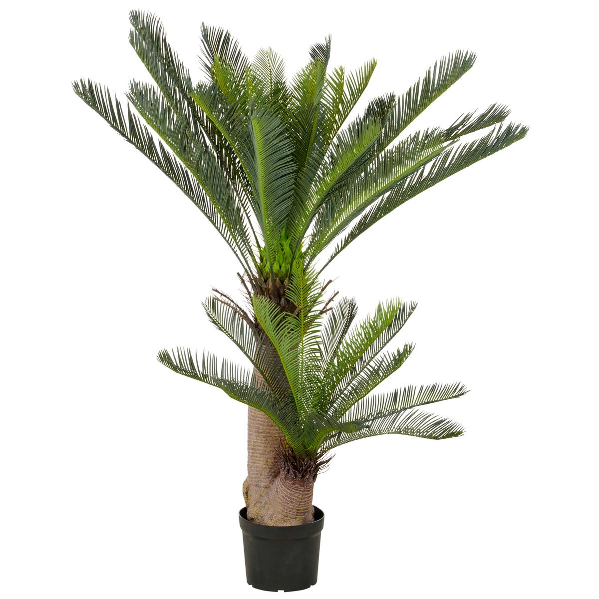 Kunstpflanze Cycaspalme Kunststoff, Grün, H: 145 cm - Schwarz/Braun, Basics, Kunststoff (145cm) - P & B