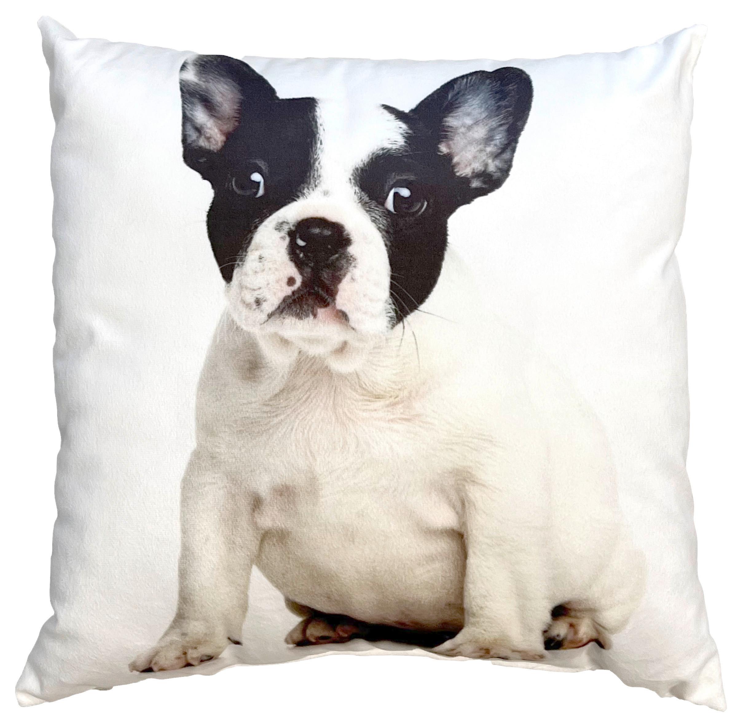 Dekoračný Vankúš French Buldog, 40/40cm - čierna/biela, Design, textil (40/40cm)
