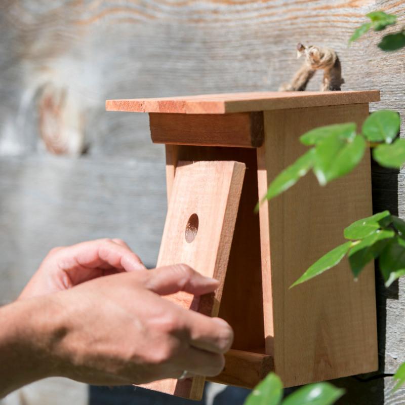 Vogelhaus Nistkasten Birdy - Naturfarben, Basics, Holz (17/24,5/17cm)