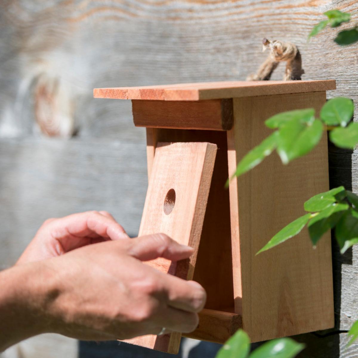 Vogelhaus Nistkasten Birdy - Naturfarben, Basics, Holz (17/24,5/17cm)