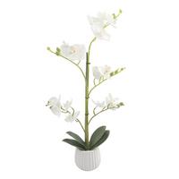 Orchidee Marlene - Gelb/Weiß, KONVENTIONELL, Keramik/Papier (9.5/58cm) - Luca Bessoni