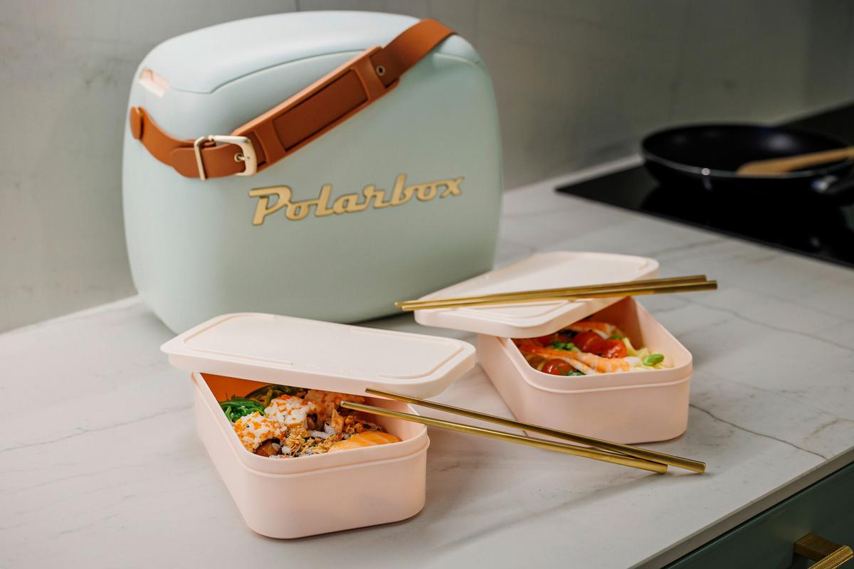 Chladiaca taška Objem: 6 L, vrát. 2 boxov - svetlozelená, Modern, plast (6l) - Polarbox