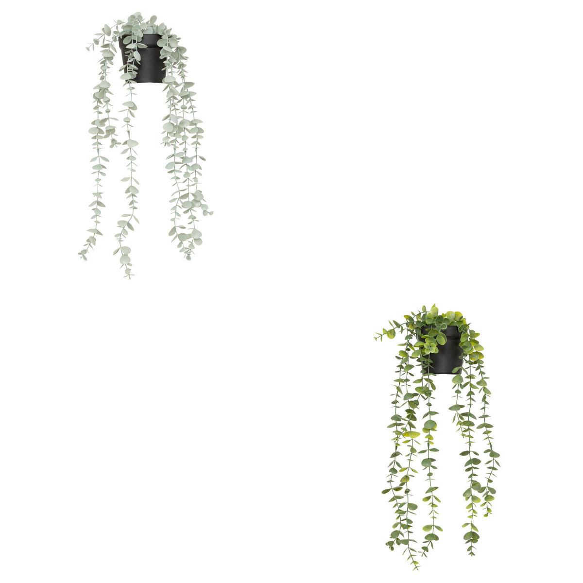 Umelá rastlina EUKALYPTUS - čierna/zelená, Basics, plast (18/51/13cm) - Mömax