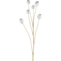 MÁK MOHN I - zelená/světle modrá, Konvenční, plast (79cm) - Modern Living