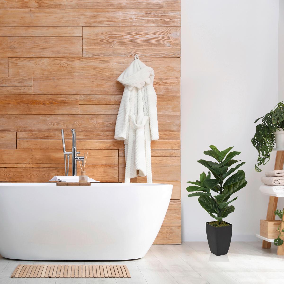 Kunstpflanze Grün/schwarz B: 20 Cm - Schwarz/Grün, MODERN, Kunststoff (20/80/20cm) - MID.YOU