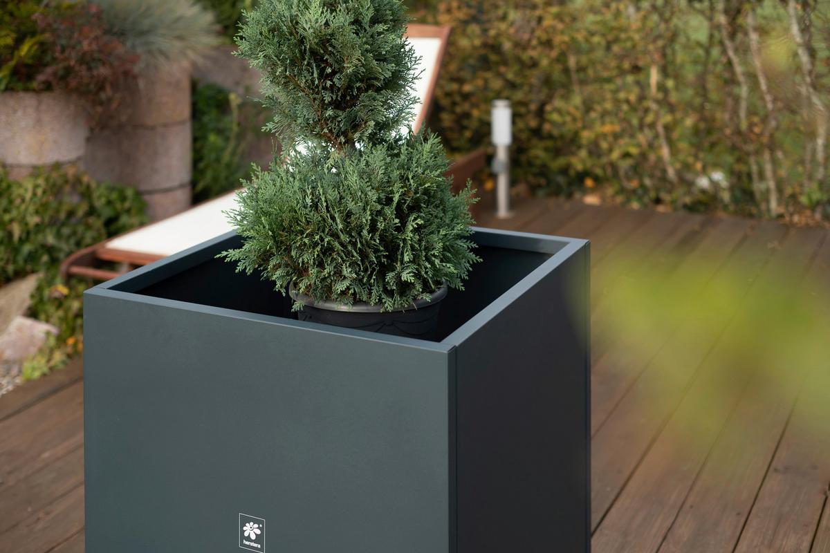Pflanzentopf Pflanzkasten 70x70x70 - Anthrazit, Basics, Metall (70/70/70cm)
