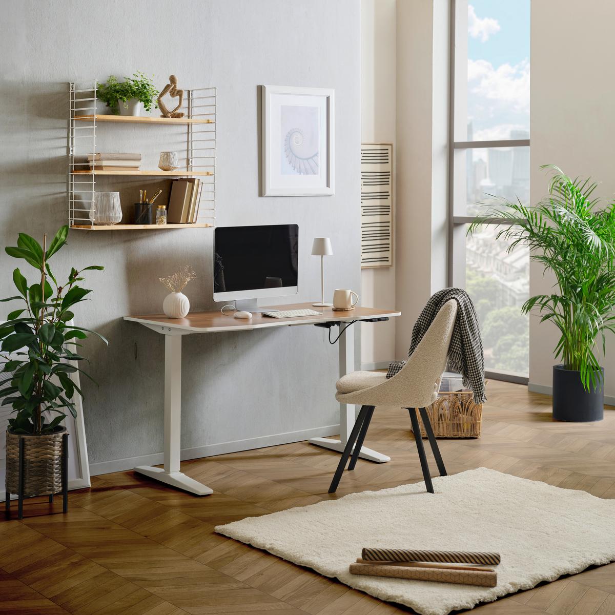 Schreibtisch Höhenverstellbar B: 70 Cm H: 75 Cm Comfort - Walnussfarben/Weiß, MODERN, Holzwerkstoff/Kunststoff (120/75-120/70cm) - MID.YOU