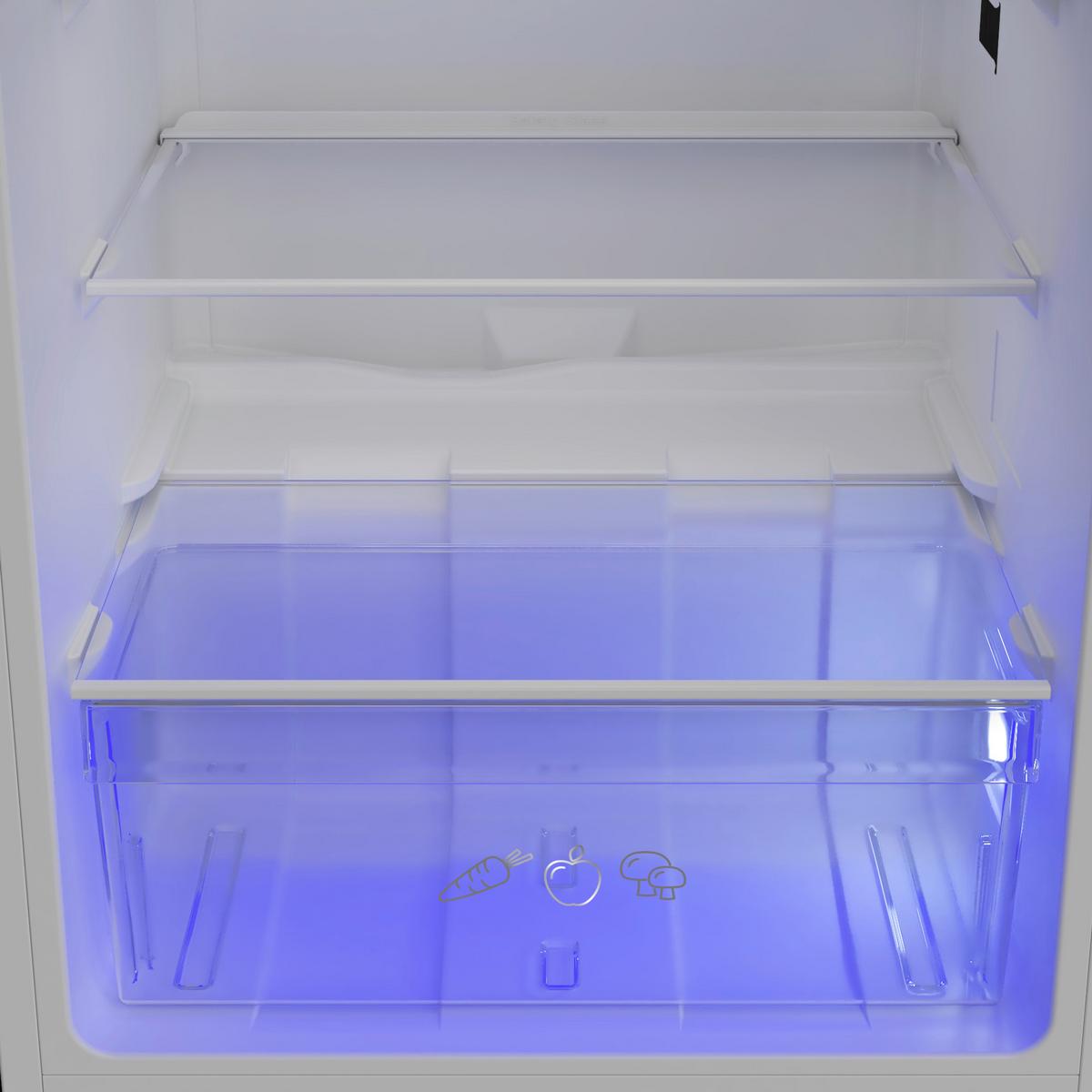 Kühlschrank Ki 12250                  -Eb- - MODERN (54/121,5/54,5cm) - Elektra Bregenz