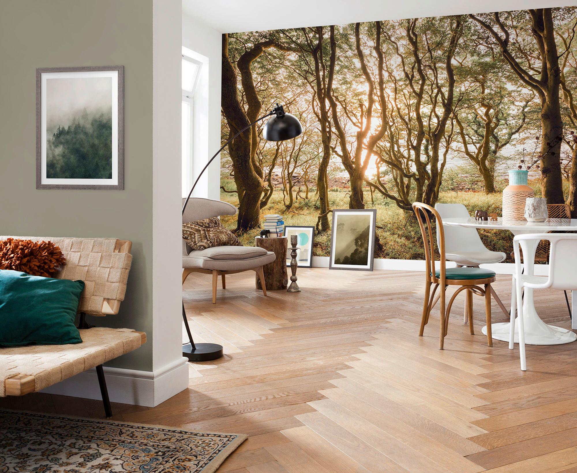 Vliestapete Bold Birch - Multicolor, Basics (400/250cm) - Komar