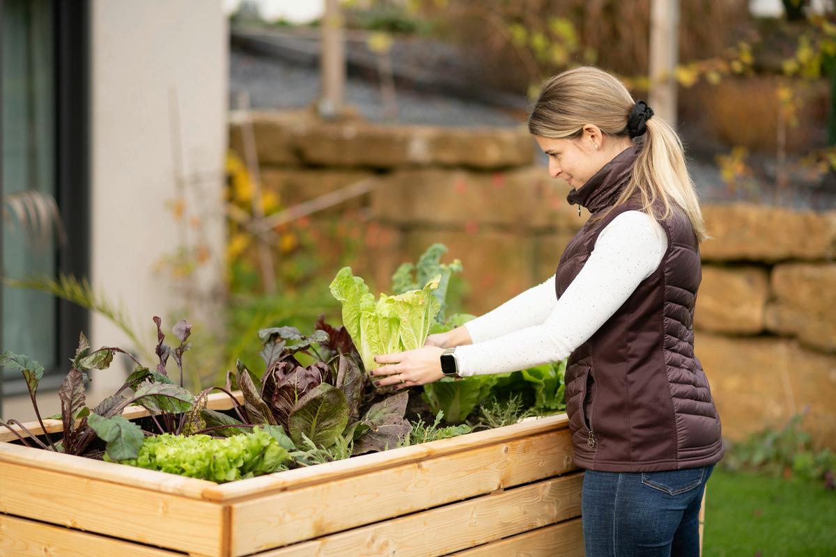 Hochbeet Holz Hochbeet Fichte XL - Fichtefarben, Basics, Holz (70/90/170cm)