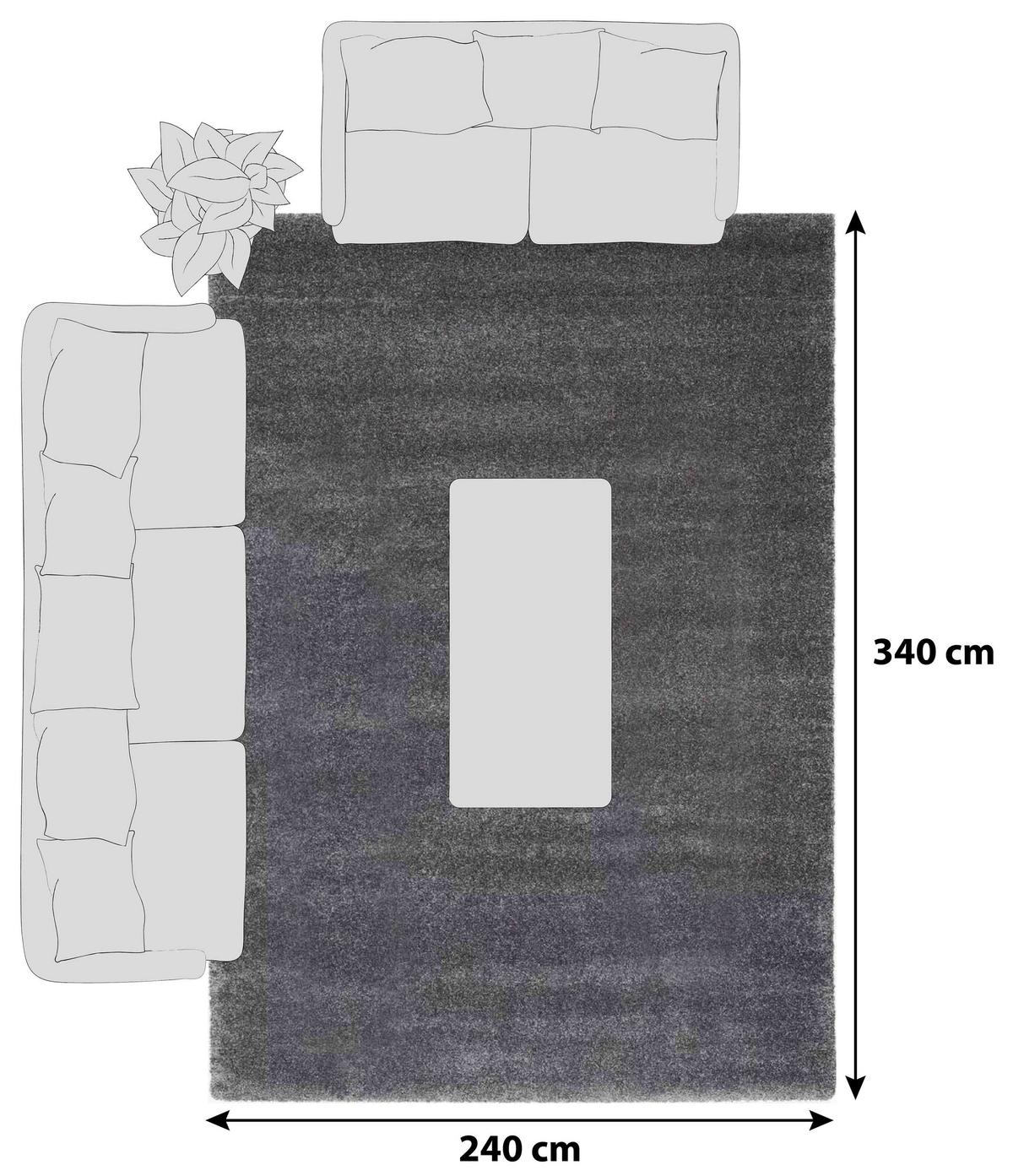 Hochflorteppich Bellevue Dunkelgrau 240x340 cm - Dunkelgrau, Basics, Textil (240/340cm) - Novel