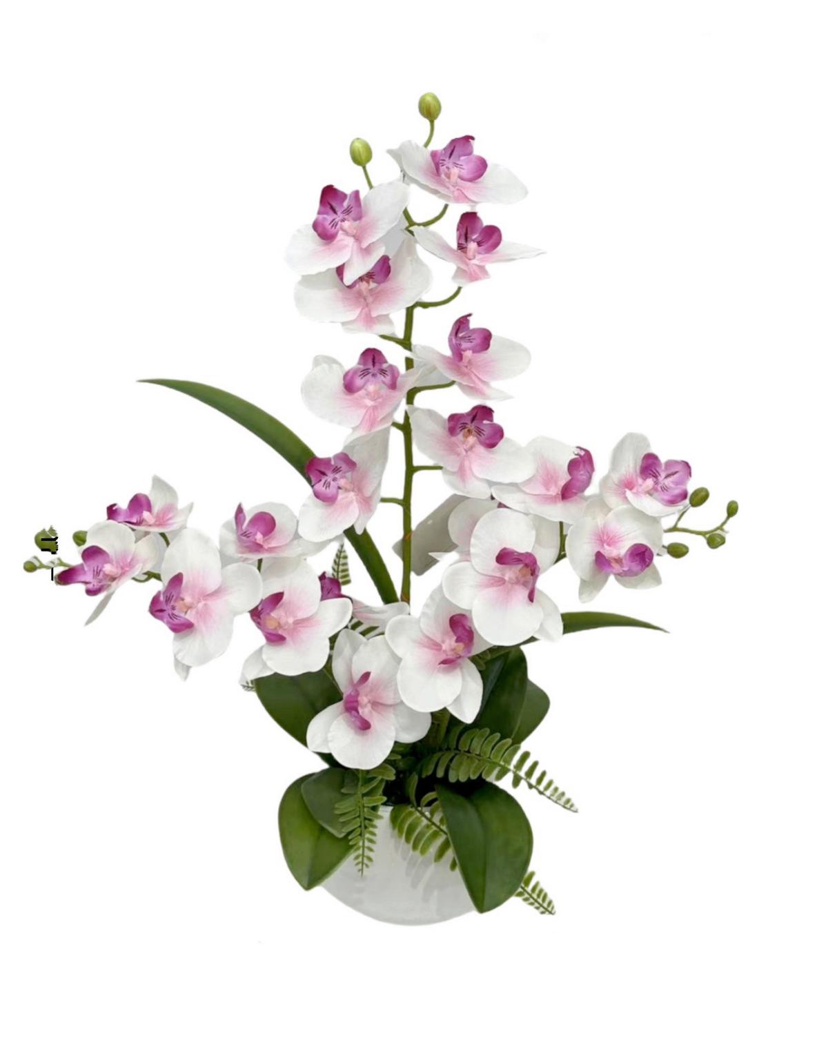 Orchidee Doris - Pink/Weiß, KONVENTIONELL, Keramik/Kunststoff (15/53cm) - Luca Bessoni