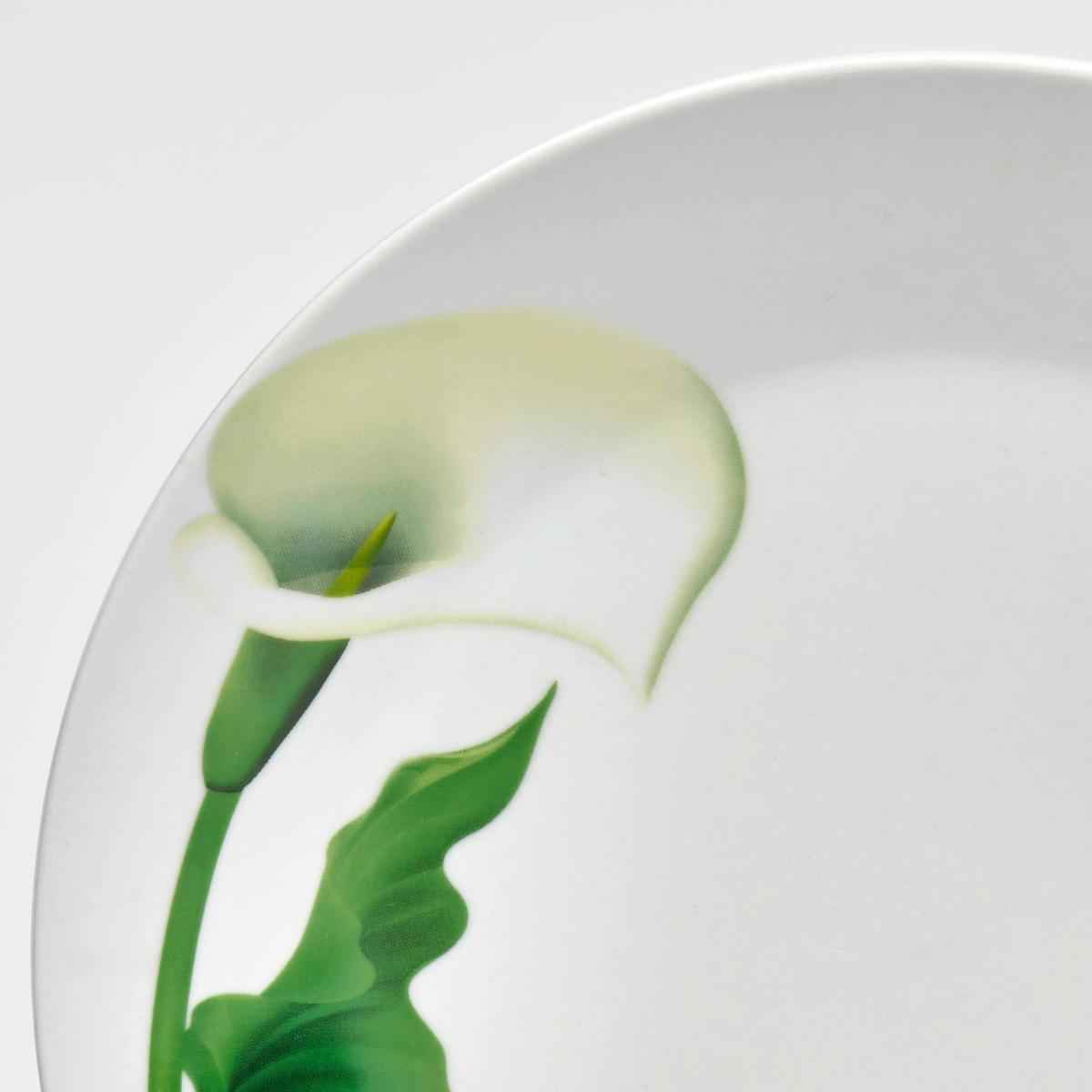 TAFELSERVICE 2083050 CALLA - Weiß, Basics, Keramik - Van Well