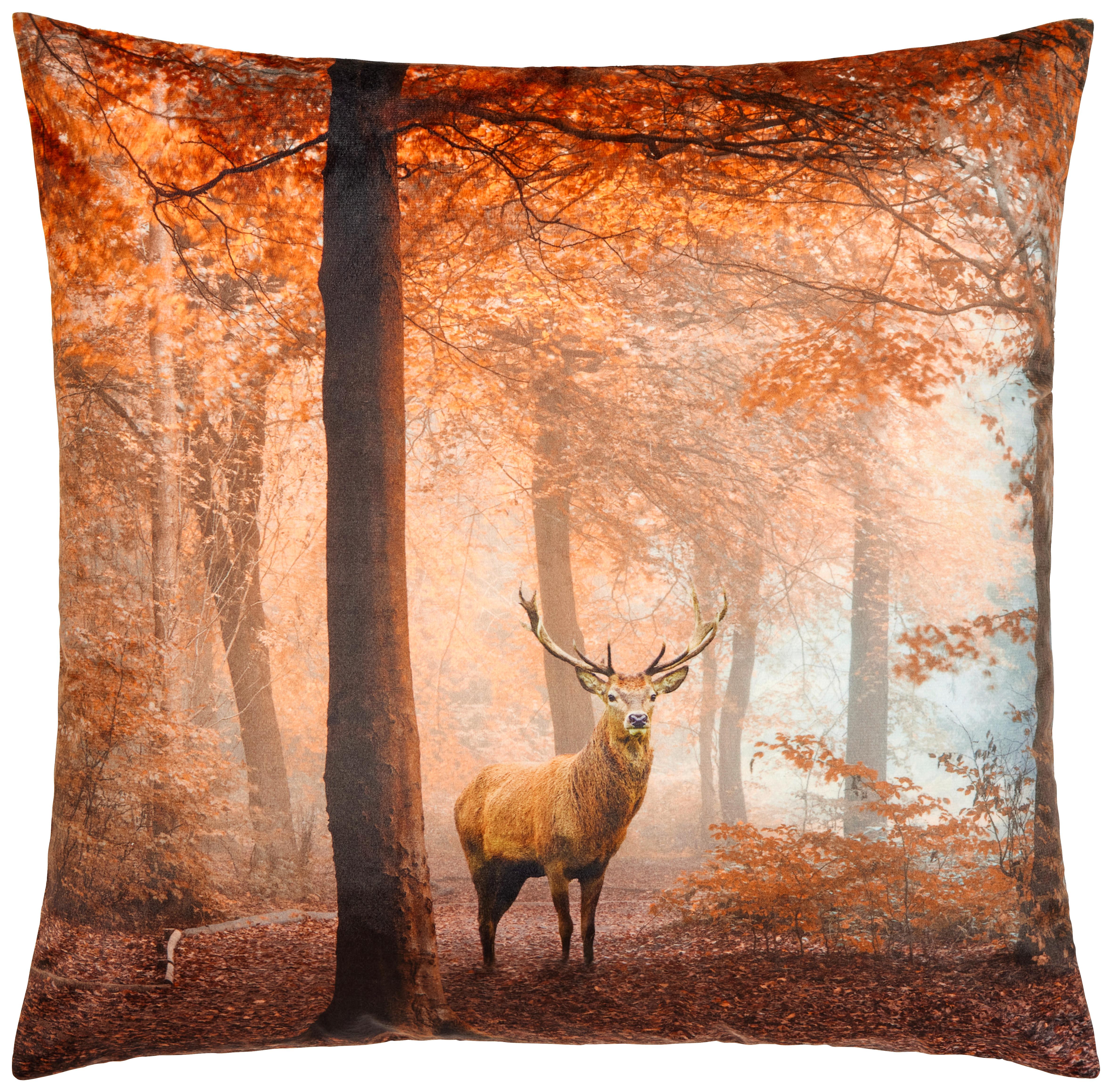Zierkissen Forest - Multicolor, ROMANTIK / LANDHAUS, Textil (45/45cm) - James Wood