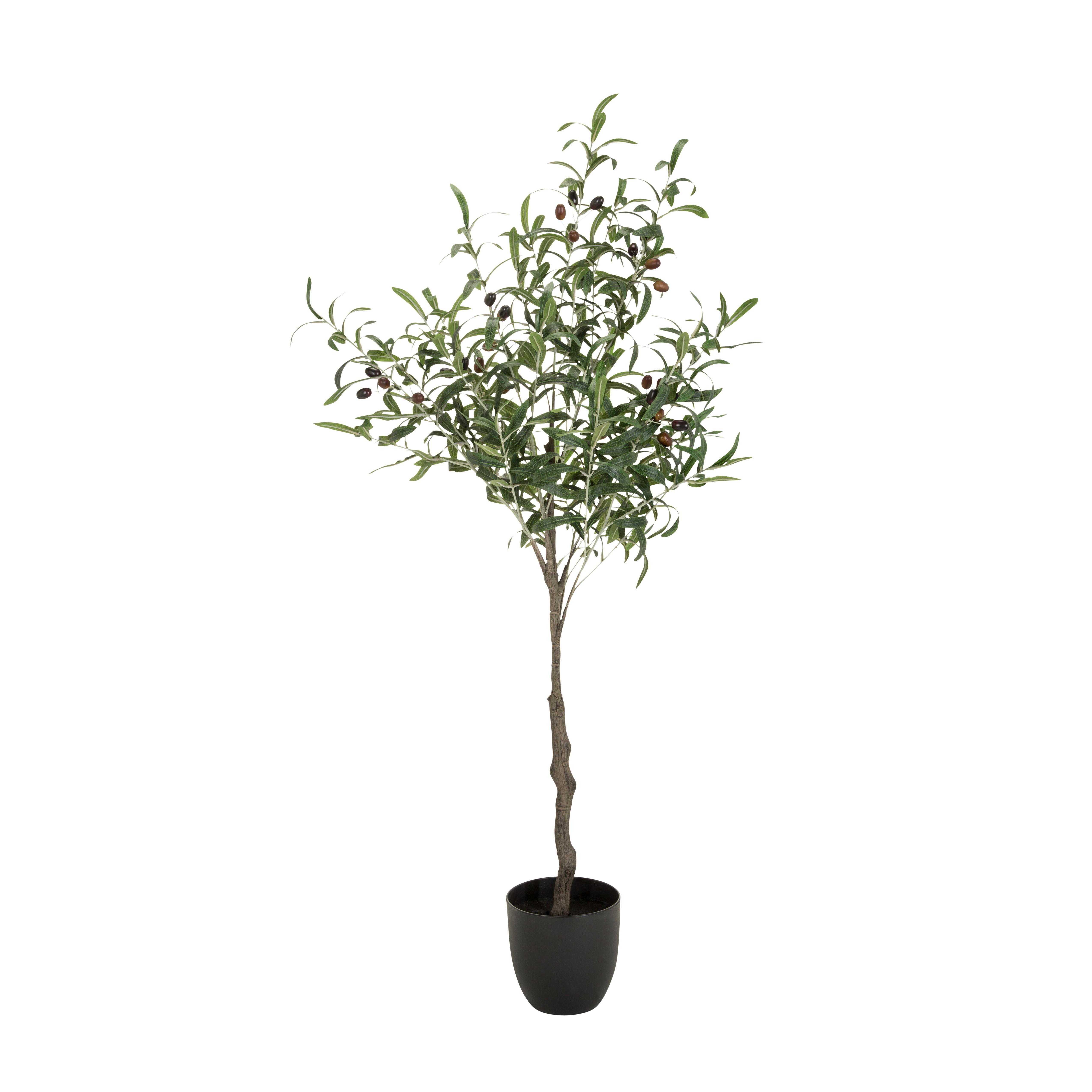 Kunstpflanze Olive - Schwarz/Braun, Basics, Kunststoff (45/120/45cm) - MID.YOU