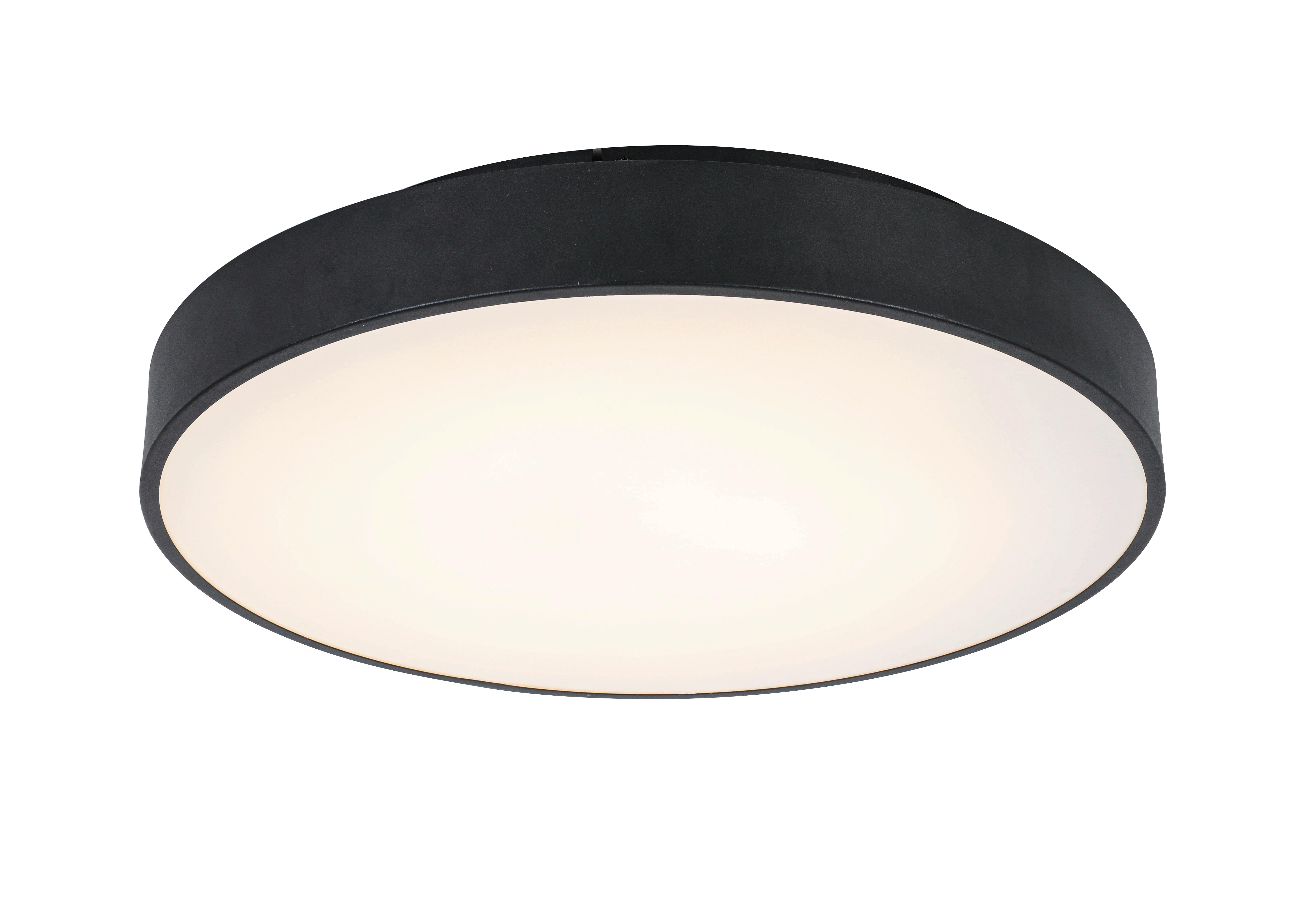 STROPNÍ LED SVÍTIDLO FLACHE - černá, Moderní, kov/plast (50/9cm) - Mömax