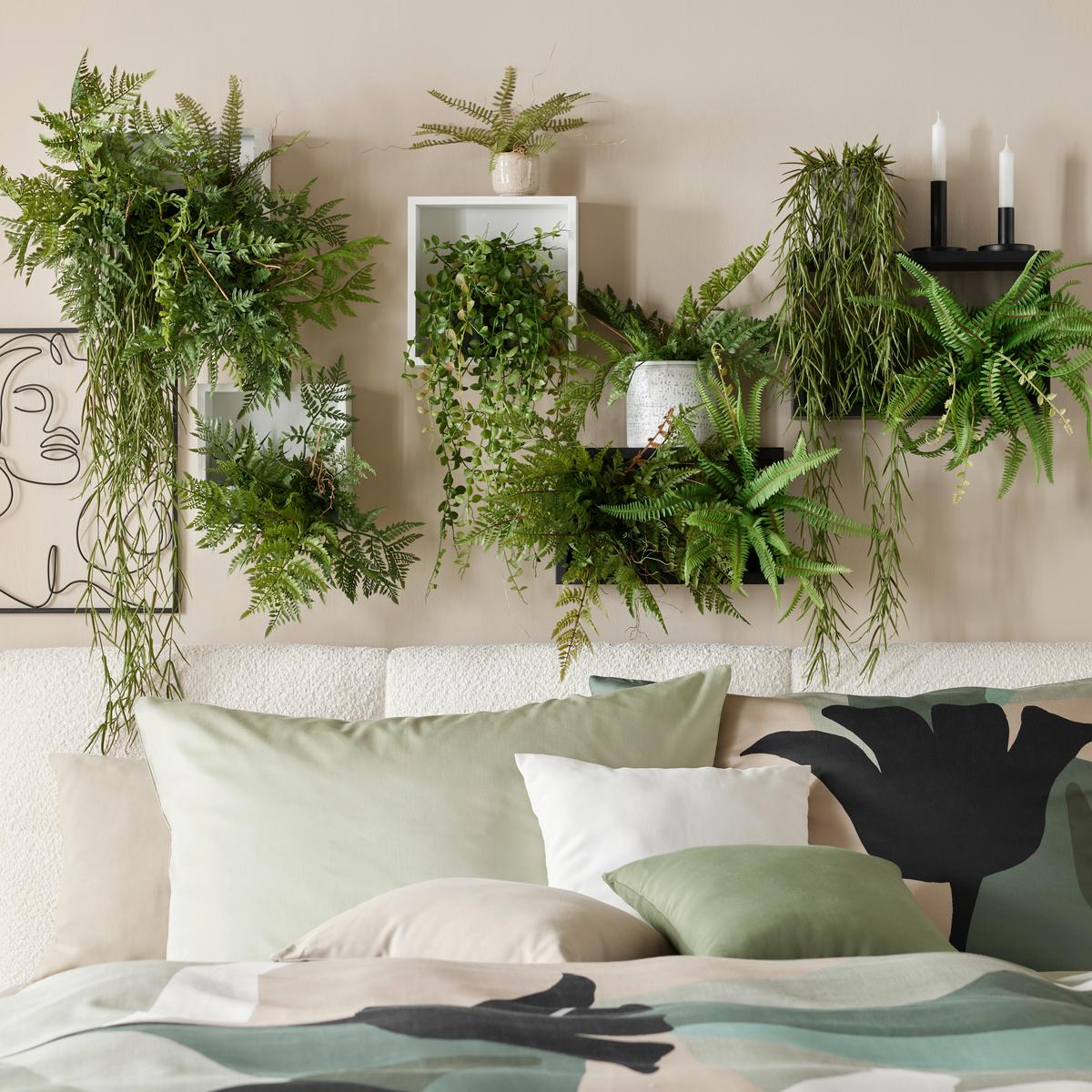 Umelá rastliny Dischidia, V: 60cm - zelená, Basics, plast (60cm)