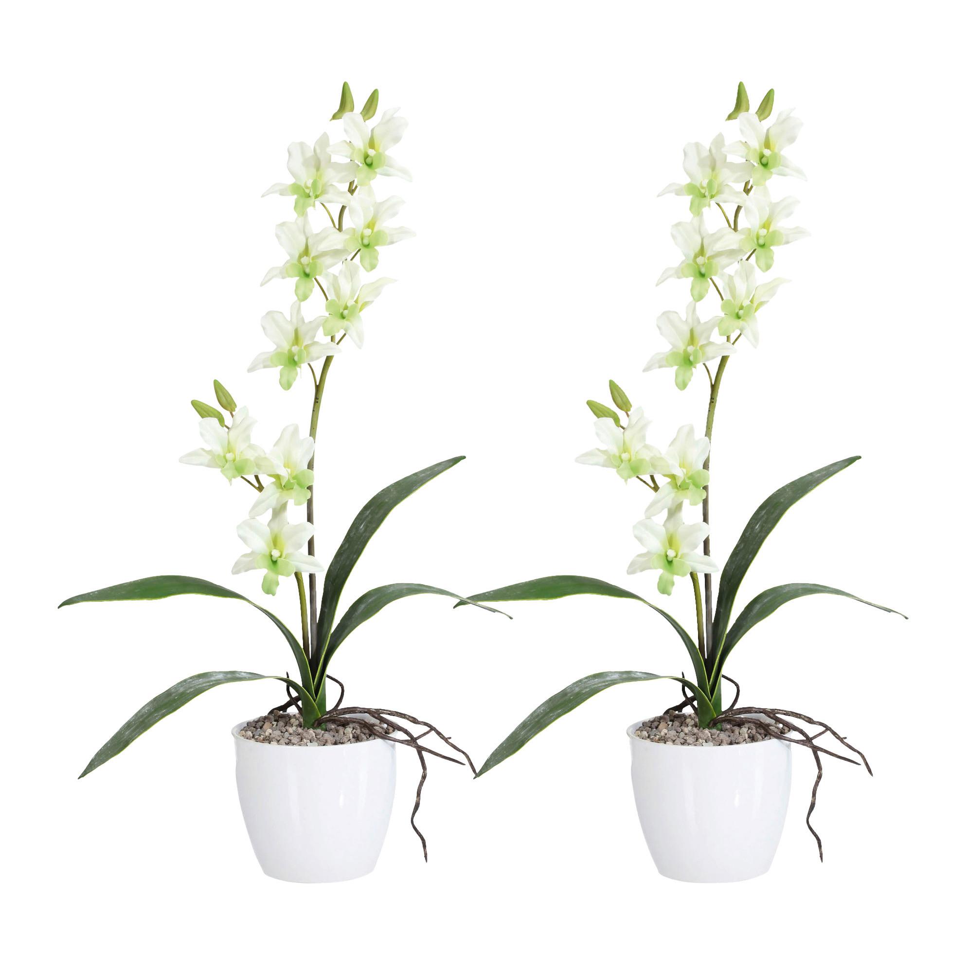 Kunstpflanze Orchideen Hellgrün, Topf: Weiß, H: 60 cm - Weiß/Hellgrün, Design, Keramik/Kunststoff (60cm) - P & B