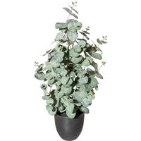 Kunstpflanze Eukalyptus H: 60 cm - Schwarz/Grau, Design, Kunststoff (60cm) - P & B