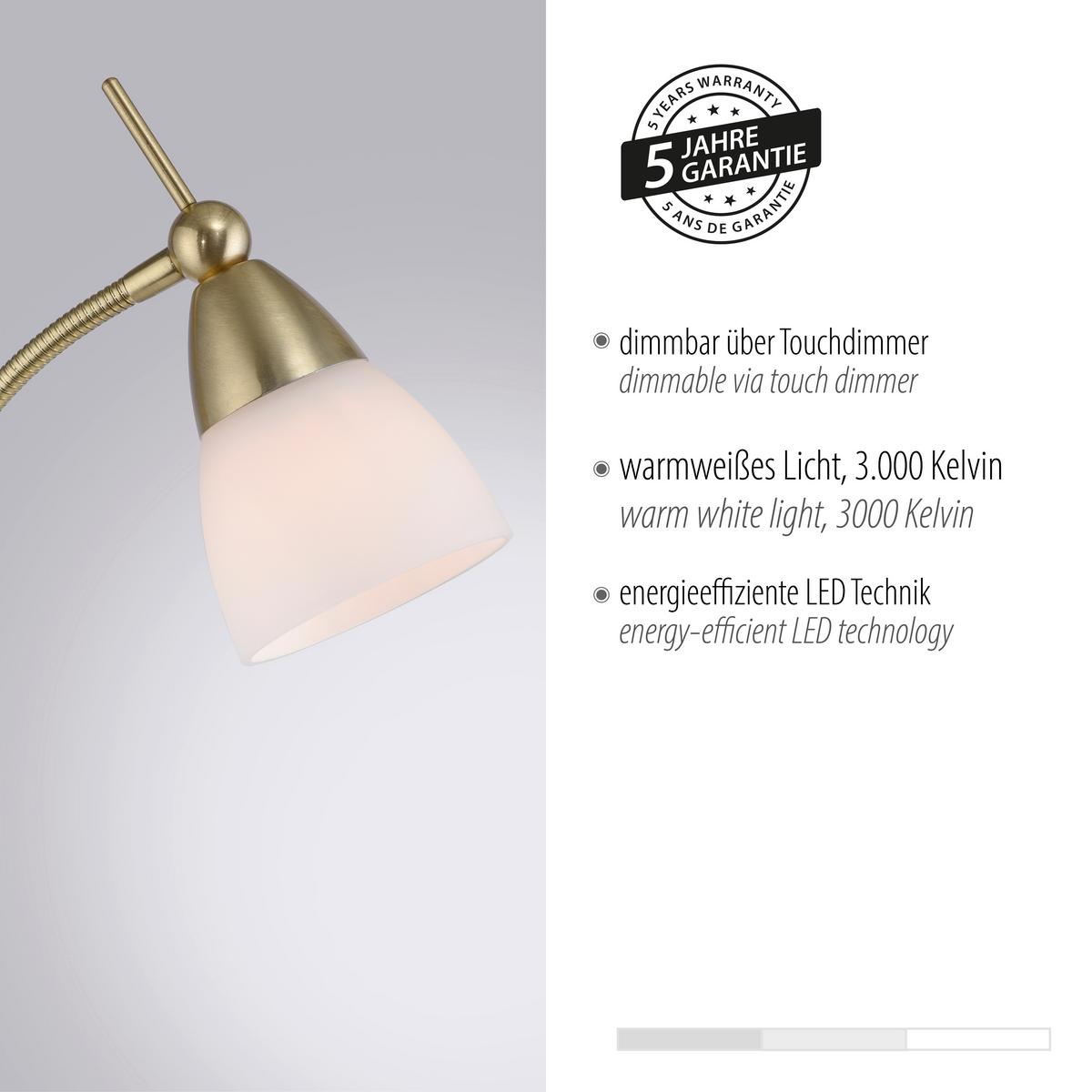 LED-Stehleuchte 400-60 Pino - Messingfarben, Basics, Glas/Metall (74/74/163cm) - Paul Neuhaus