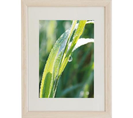 Képkeret A4 Noah - Natúr, konvencionális, Üveg/Fa (21/29,7cm) - Ombra Képkeret A4 Noah - Natúr, konvencionális, Üveg/Fa (21/29,7cm) - Ombra