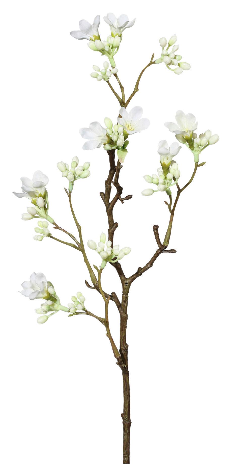 Dekoračná vetvička SCHEINQUITTENZWEIG I -PAZ- - hnedá/biela, Basics, kov/textil (51cm) - Mömax