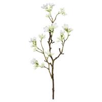 Dekoračná vetvička SCHEINQUITTENZWEIG I -PAZ- - hnedá/biela, Basics, kov/textil (51cm) - Mömax