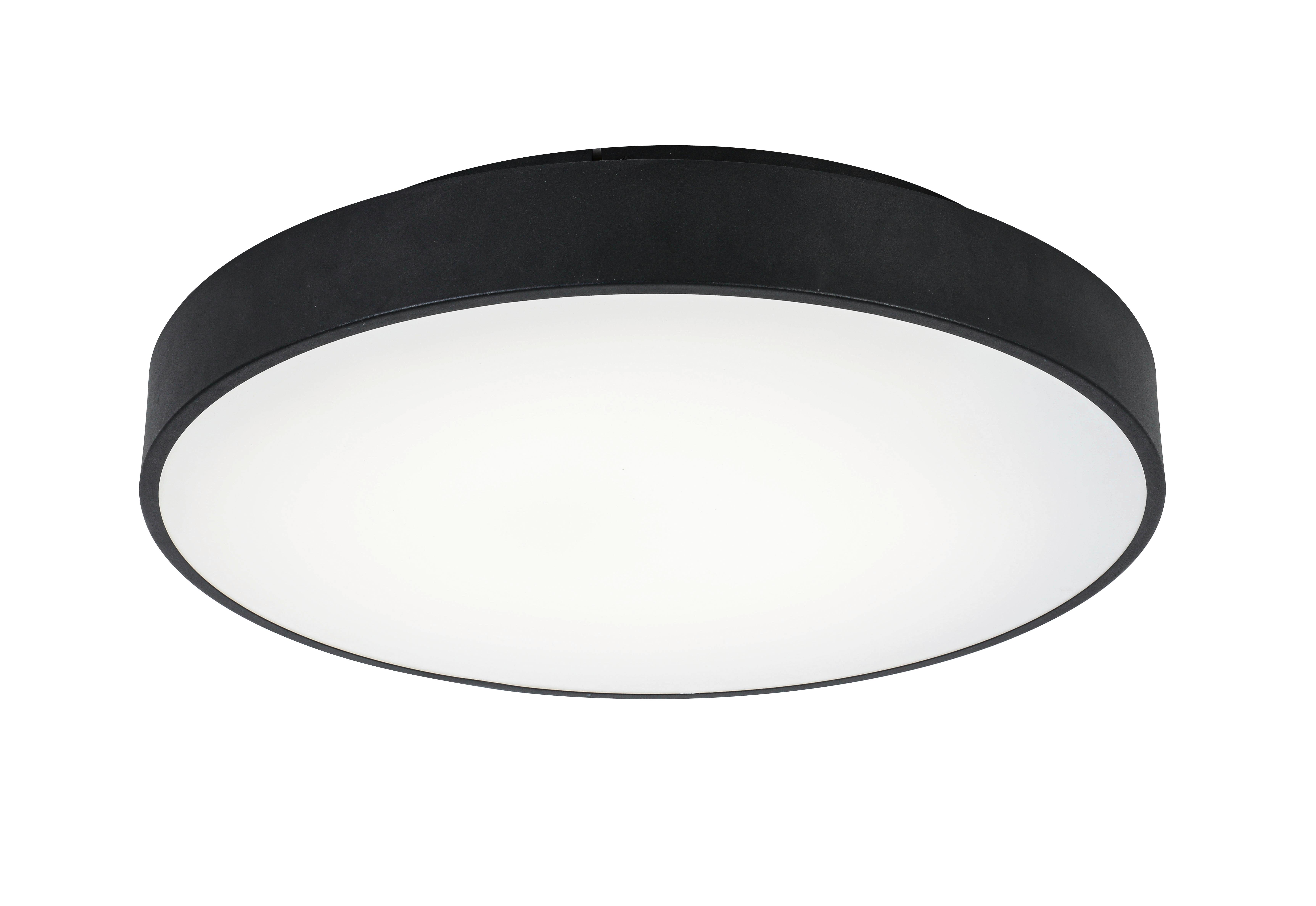 STROPNÍ LED SVÍTIDLO FLACHE - černá, Moderní, kov/plast (50/9cm) - Mömax