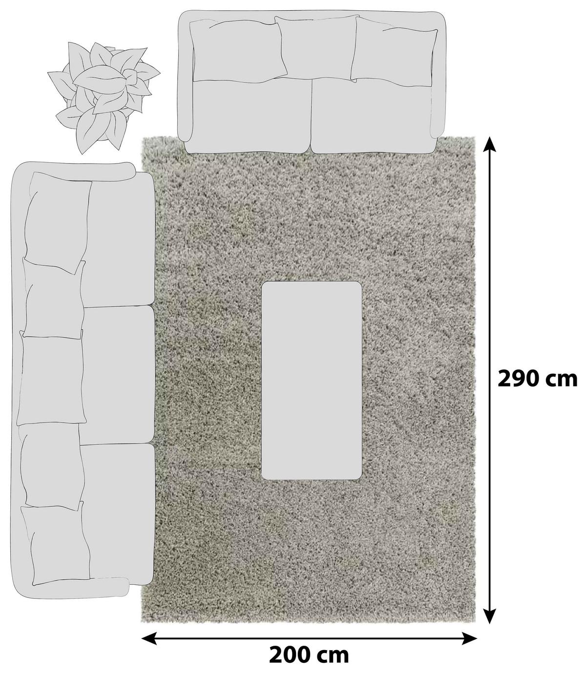 Hochflor Teppich Naturfarben Naturfaser Sydney 200x290 Cm - Naturfarben, Basics, Textil (200/290cm)