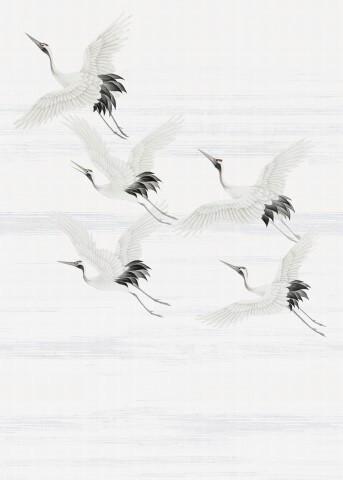 Fototapete Kraniche - Weiß/Grau, Basics, Papier/Kunststoff (200/280cm)