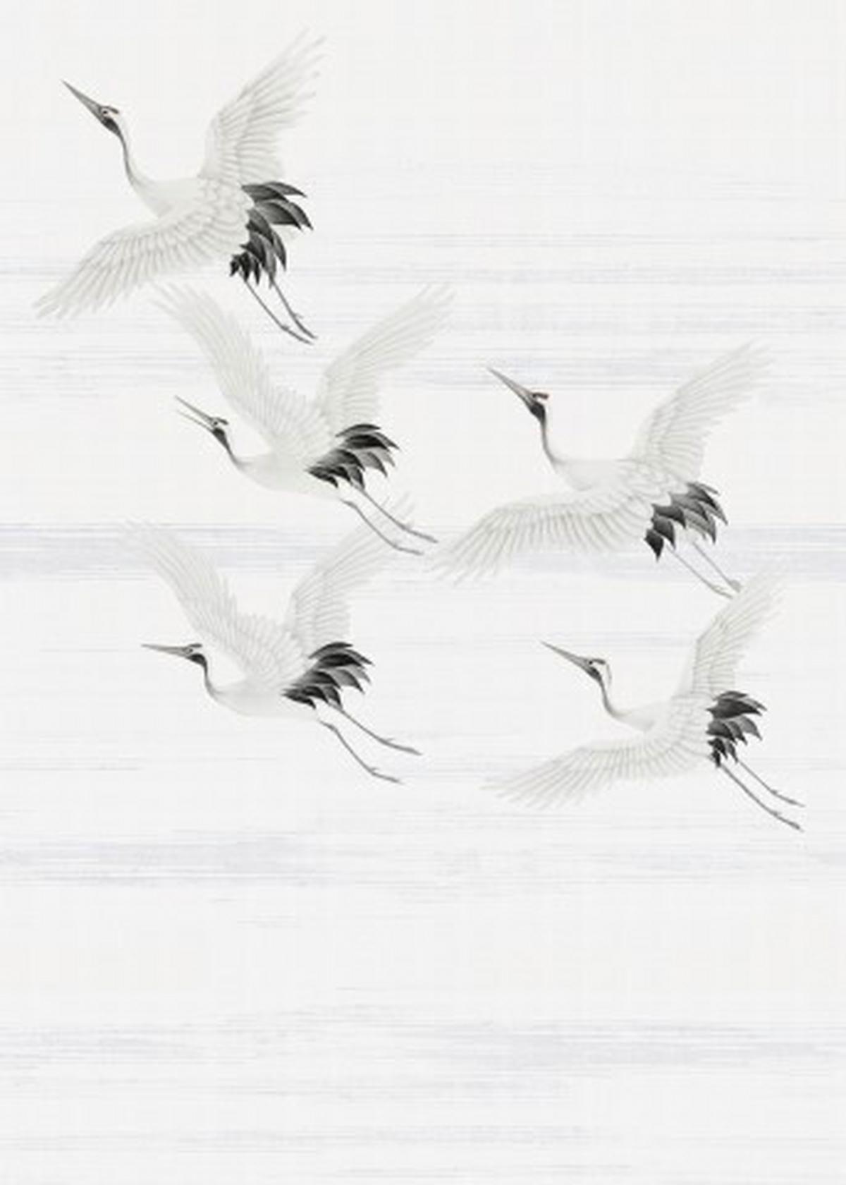 Fototapete Kraniche - Weiß/Grau, Basics, Papier/Kunststoff (200/280cm)