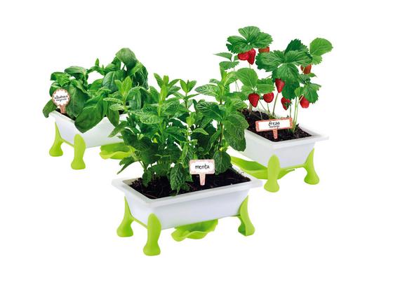 Kinder-pflanzset Grüner Daumen Kräuter - Grün, MODERN, Kunststoff (39/10/30cm) Kinder-pflanzset Grüner Daumen Kräuter - Grün, MODERN, Kunststoff (39/10/30cm)