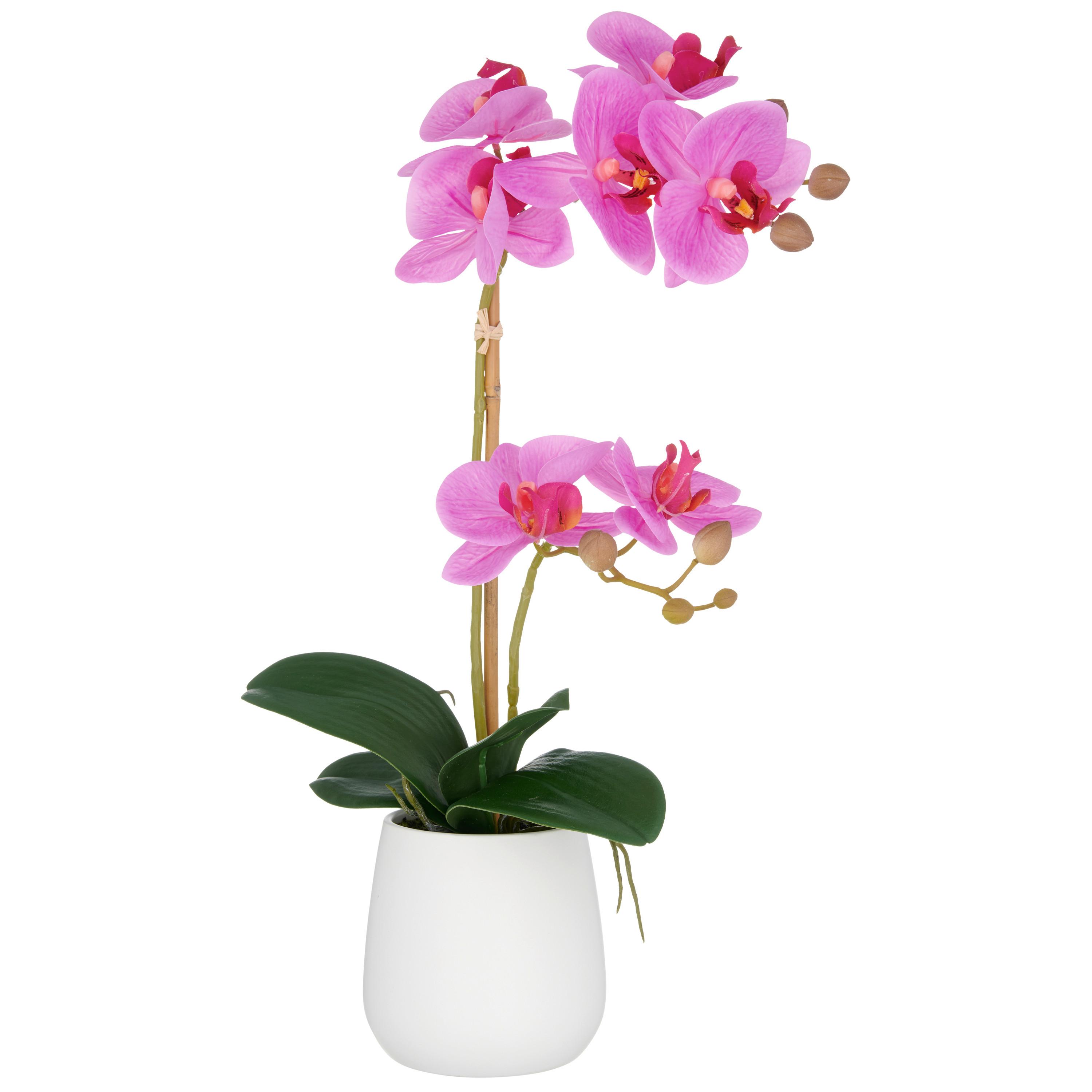 Kunstpflanze Grün Weiß Lila B: 17 cm - Lila/Weiß, Basics, Keramik/Kunststoff (17/55/17cm) - P & B