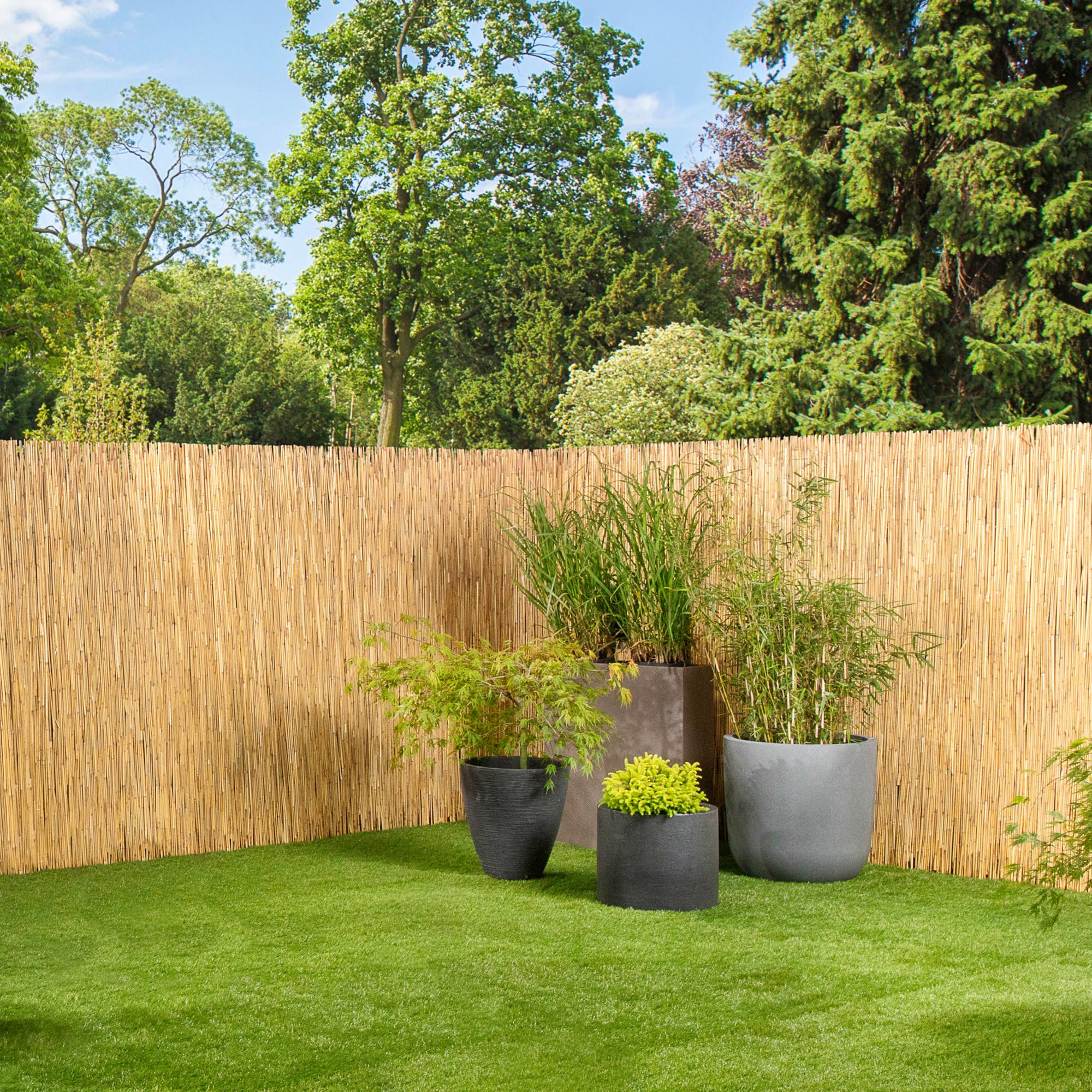 Sichtschutz Nantai Natur Schilf 600x140 Cm - Naturfarben, Basics, Naturmaterialien (140/600cm)