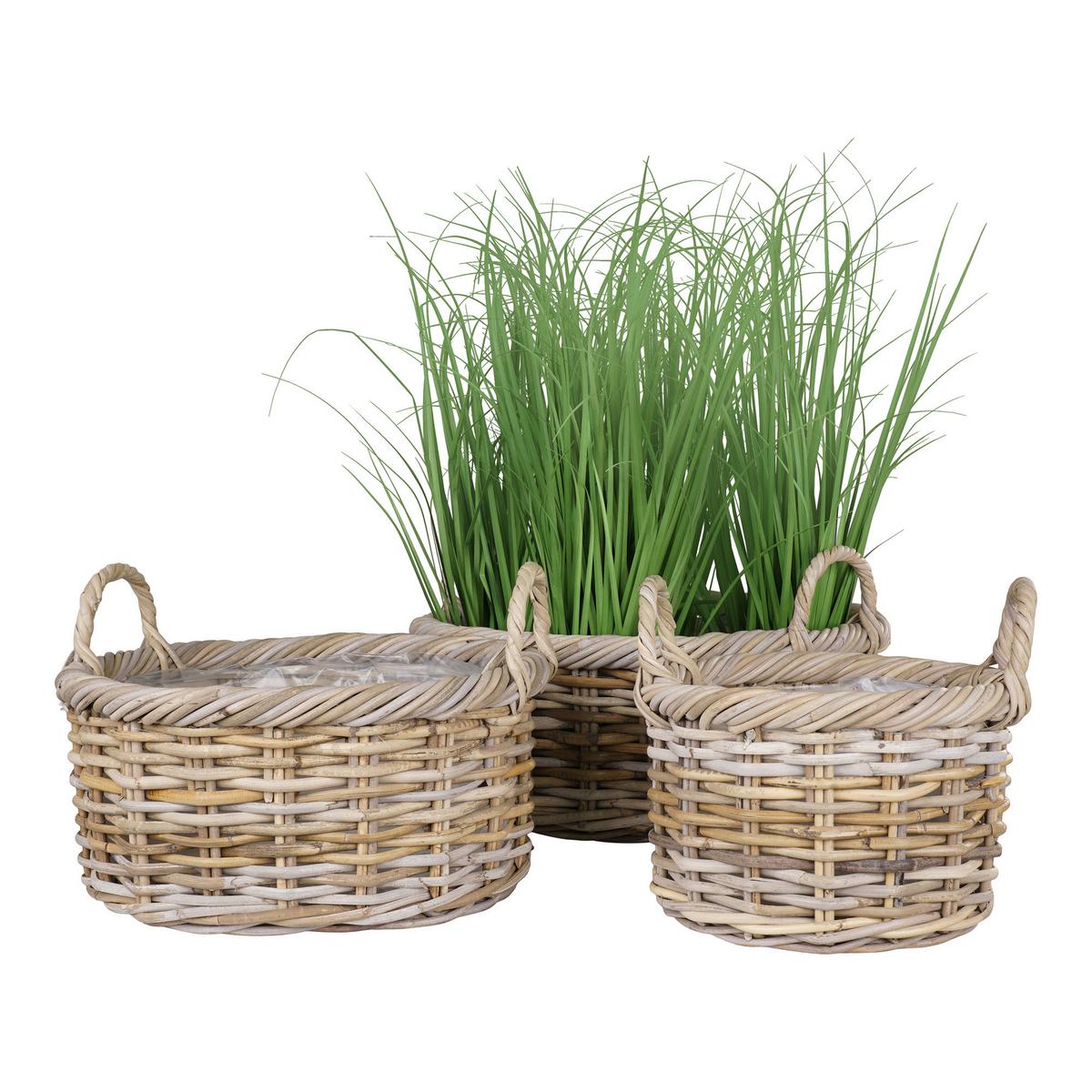 Korbset Kuta Hellbraun B: 50 Cm - Hellbraun/Klar, Basics, Holz/Kunststoff (50/28/50cm)