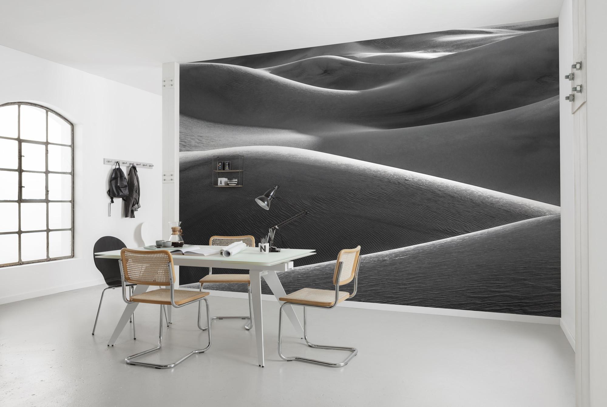 Fototapete Wüstenarchitektur - Schwarz/Weiß, Trend, Textil (450/280cm)