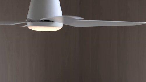 Deckenventilator Aria Schwarz 4-Flügel, Geräuscharm - Schwarz, Basics, Kunststoff (122/21cm) - P & B