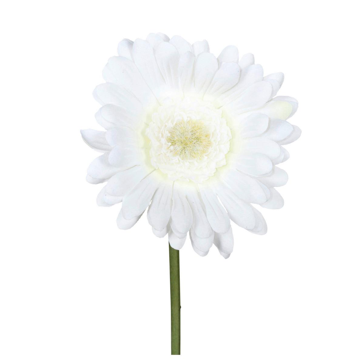 Umélá květina GERBERA, Výška: 50 cm - bílá/zelená, Konvenční, plast (50cm) - Mömax