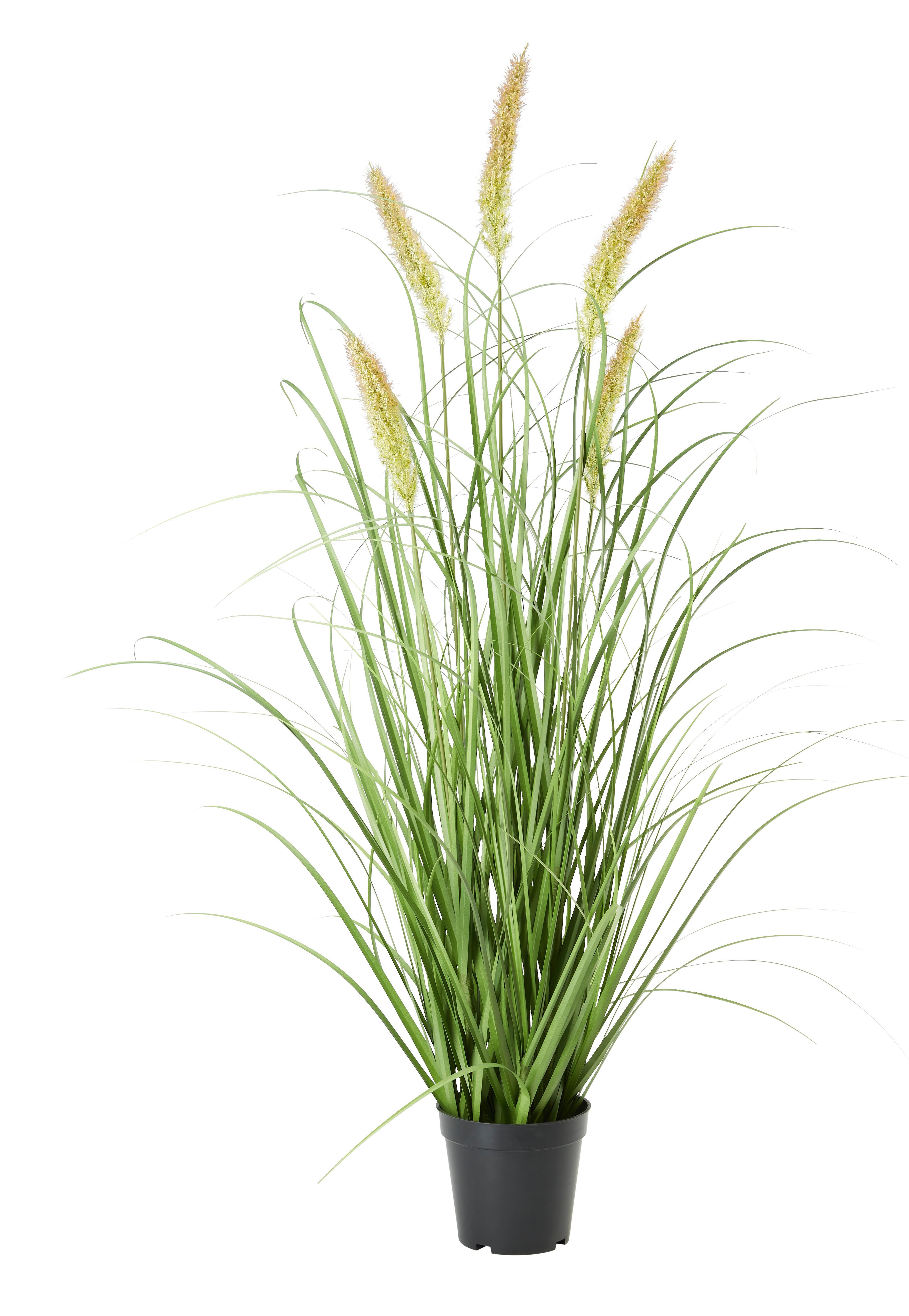 Umělá rostlina Penisetum, V: ca. 97cm - černá/zelená, Basics, textil/plast (97cm) - Modern Living