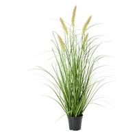 Umelá rastlina Penisetum, V: ca. 97cm - čierna/zelená, Basics, textil/plast (97cm) - Modern Living
