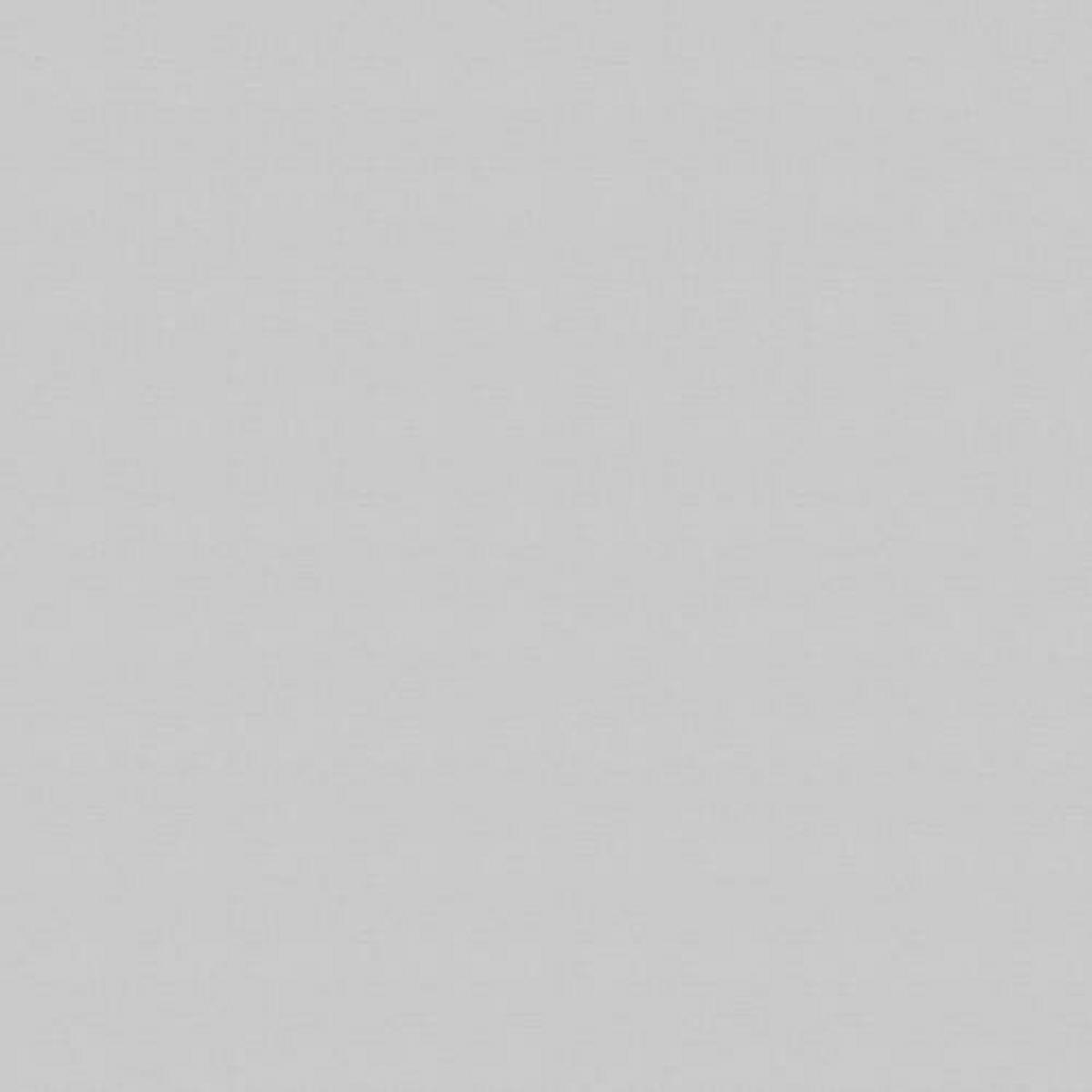 Vliestapete 10017887 - Grau, Basics, Papier/Kunststoff (104/1005cm)