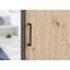 Kleiderschrank Chicago B: 119,6cm Eiche Dekor - Eichefarben/Anthrazit, Basics, Glas/Holzwerkstoff (119,6/196,3/53,5cm) - Livetastic Kleiderschrank Chicago B: 119,6cm Eiche Dekor - Eichefarben/Anthrazit, Basics, Glas/Holzwerkstoff (119,6/196,3/53,5cm) - Livetastic