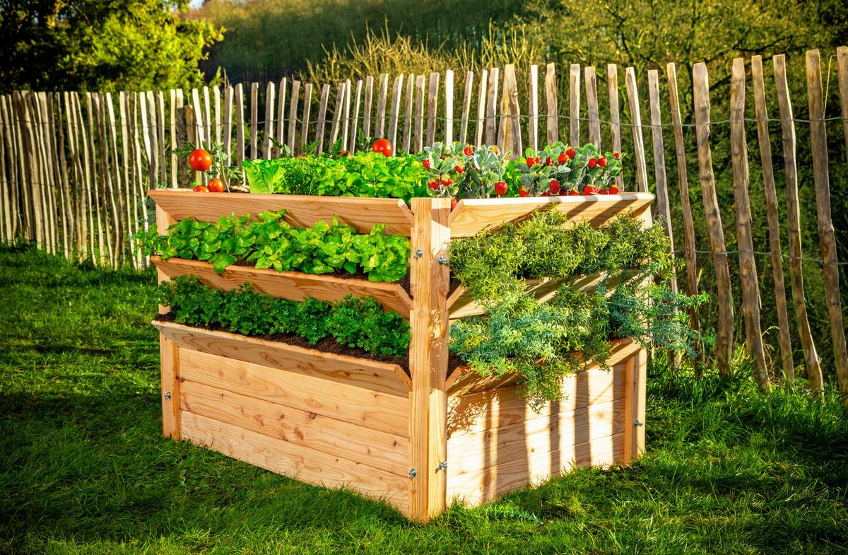 Hochbeet Echtholz Lärche 124x73x91 Cm Lärchefarben - Lärchefarben, Basics, Holz (124/73/91cm)