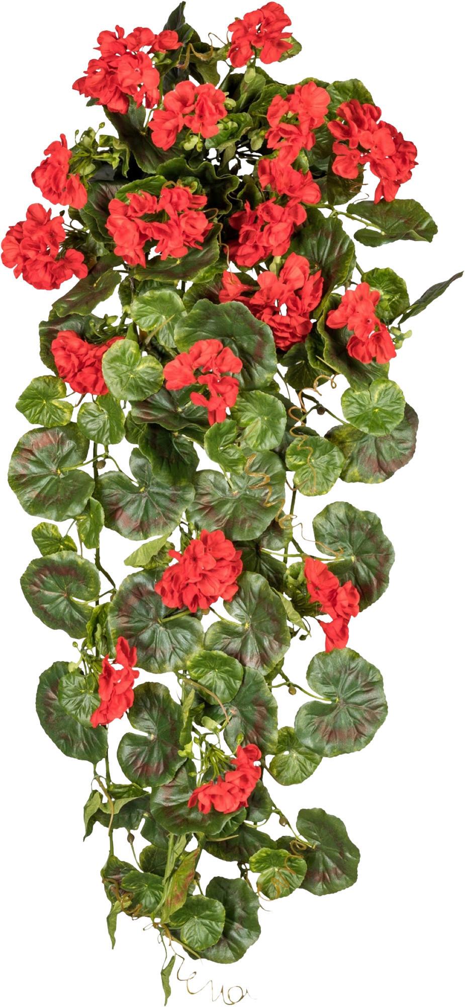 Kunstpflanze, Geranie Grün, Rot, H: 80 cm - Rot/Grün, Design, Kunststoff (80cm) - P & B